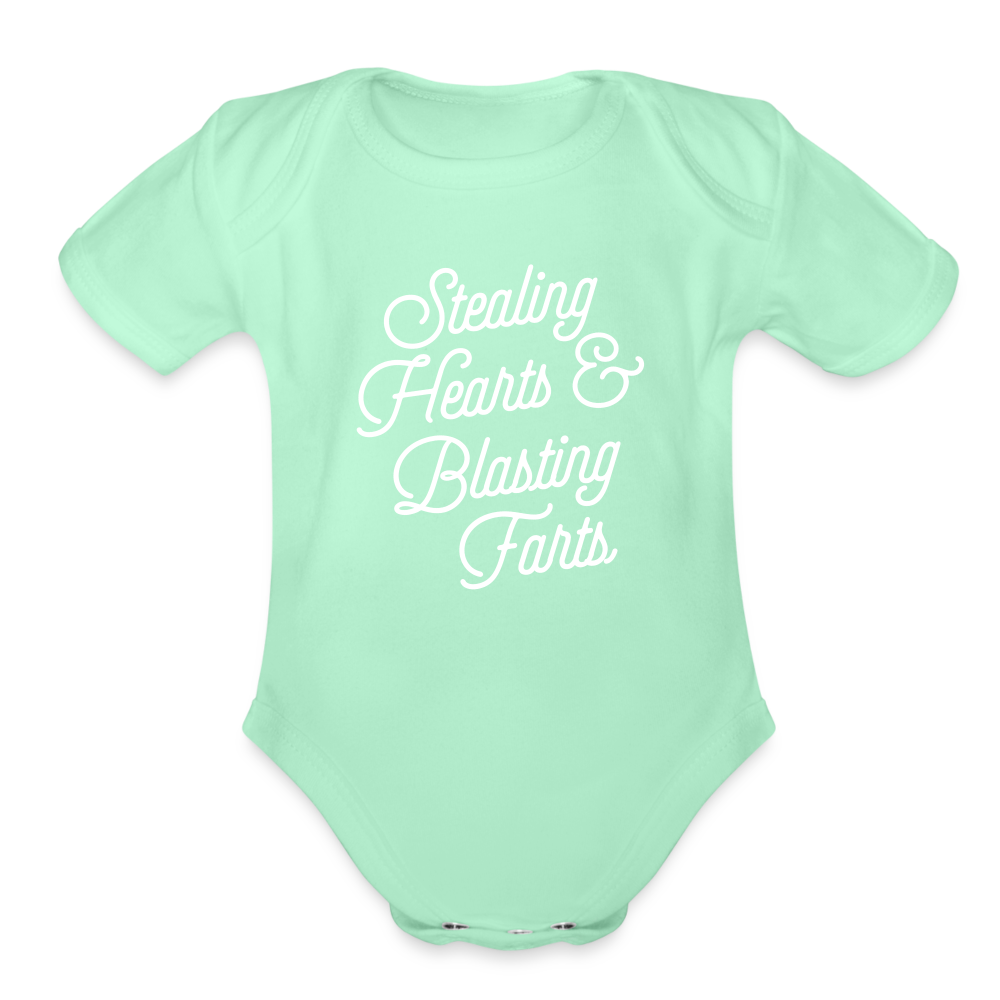 Stealing Hearts & Blasting Farts Organic Short Sleeve Baby Bodysuit - light mint
