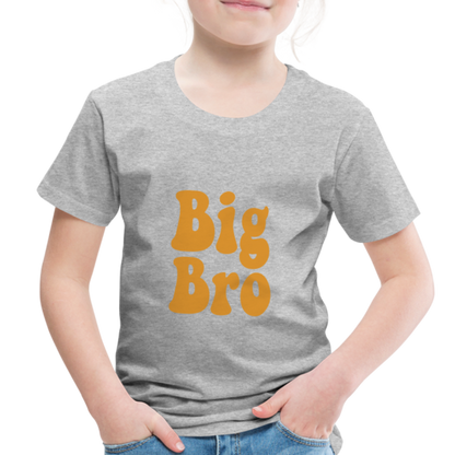 Big Bro Toddler Premium T-Shirt - heather gray